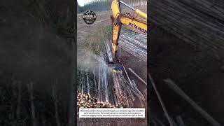 Insane Log Cutting Machine