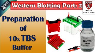 Tbs Buffer Preparation