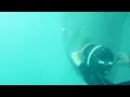 Video Image