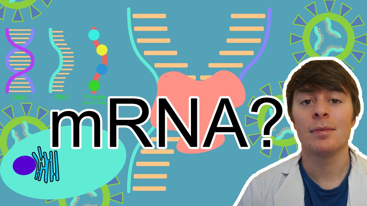 What Is mRNA? | mRNA COVID Vaccines