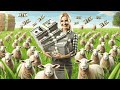 Revolutionary Sheep Farming Models: Profits 10 Times Higher Than Usual!
