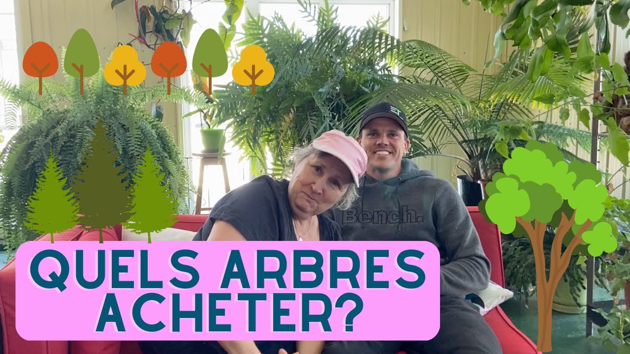 Quels arbres choisir lorsqu'on va en centre jardin? - capsule horticole