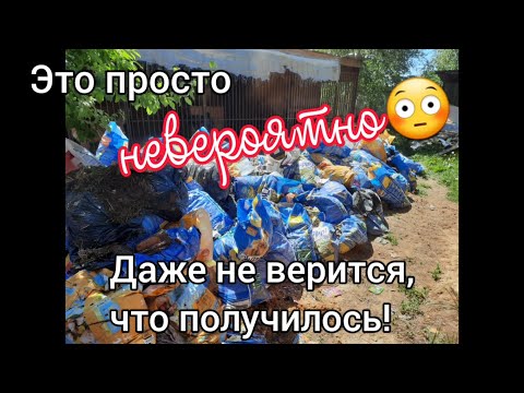 Это просто невероятно 😳 Даже не верится, что получилось! Приют для животных