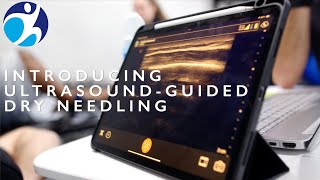What Is Ultrasound-Guided Dry Needling?