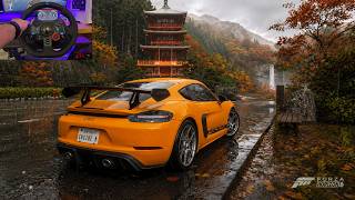 Porsche 718 Cayman GT4 RS | 4K Forza Horizon 6 + Logitech G29 Steering Wheel
