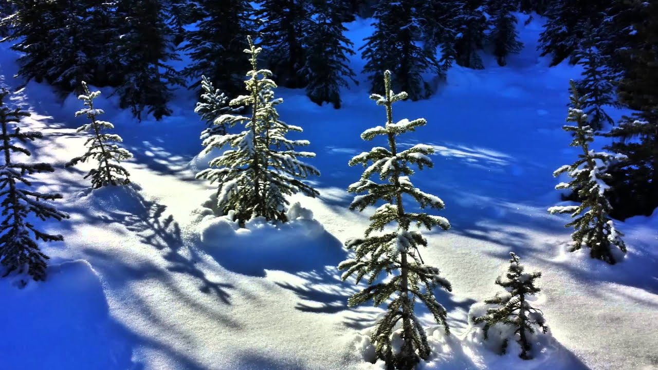 Snowshoeing at Hogarth Lakes, Kananaskis Country, Alberta Canada YouTube
