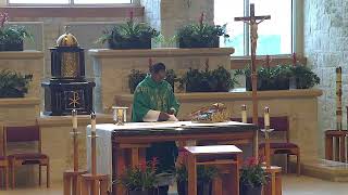 Sixteenth Week Ordinary Time, Monday, July , 2026,  8am Holy Mass with Fr. Thomas Abraham