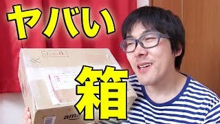 【ブチ切れ注意】謎の箱を開封したら劇的にウザい結果になった！