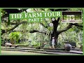 DAY 2 | The Farm at San Benito | Early Morning Yoga + Healthy Breakfast