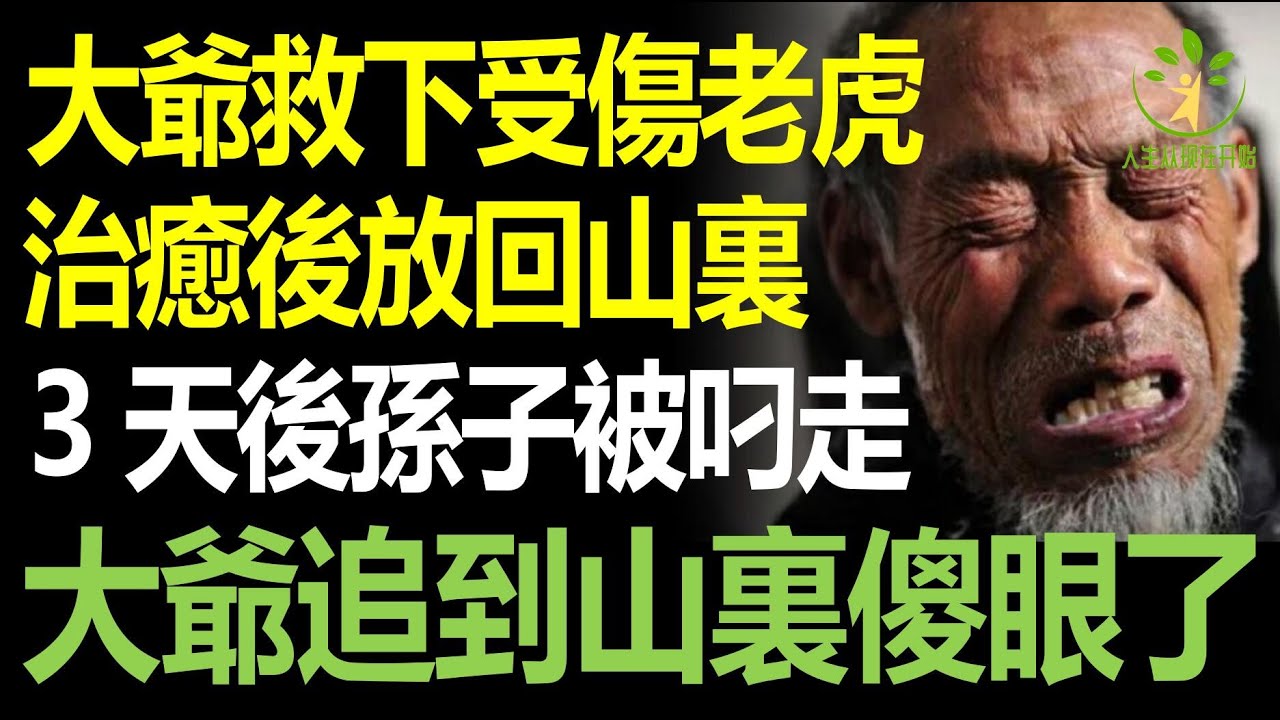 大爺救下受傷獅子，治癒後放回山上，3天後他孫女被叼走，大爺拿著鐵鏟追到山裏後，看到眼前一幕傻眼！