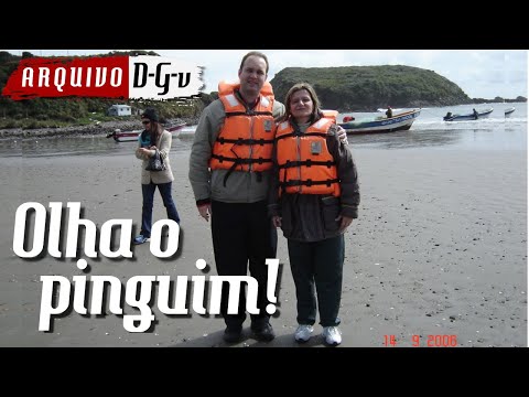 PINGUINS NA ILHA DE CHILOÉ - CHILE -  PATAGÔNIA - PINGUINERA - MERCADO ANCUD - ARQUIVO D-G-v