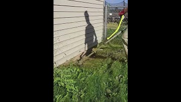 Smooth your BUMPY lawn easily with this lawn leveling rake #lawn  #rakesh  #level  #diy  #smooth