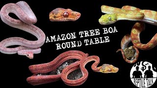 Episode 105 - Amazon Tree Boa RoundTable Profile