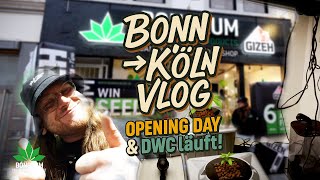 From Bonn to Cologne 🚐 | Opening Day, quick GrowCheck & DWC in progress!