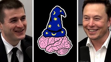 Elon Musk: Limbic System, Cerebral Cortex, and a Tertiary Layer of Digital Super-Intelligence