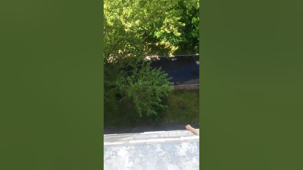 как перестать материться как перестать материться. вообще то я приличная но иногда ругаюсь матом. а за окном ругается матом ветер. смешные высказывания про тех кто ругается матом. да я вредная хамлю иногда ругаюсь матом зато глаза красивые.