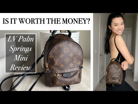 LOUIS VUITTON PALM SPRINGS MINI BACKPACK WORTH IT?, Review, Wear and Tear, What Fits