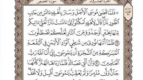28سورة القصص كاملة بصوت الشيخ 'وديع اليمني' | القرٍآن الكريم 2021 بدون اشهارات