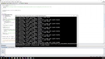 pico2018 buffer overflow 3