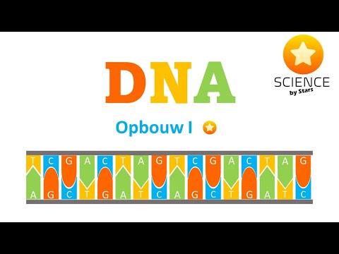 Video: Wat is 'n komplementêre DNA-string voorbeeld?