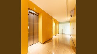 Peaceful Moods for Empty Elevators