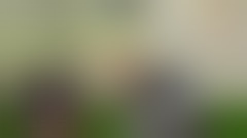 🔴 New Cheat Crisis Action No Root Simple No For Close | New Baypas