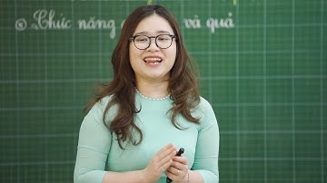 Video tiet day TNXH Lop 3: Chức năng một số bộ phận của thực vật - Bộ KNTT (Nguồn: NXBGD)