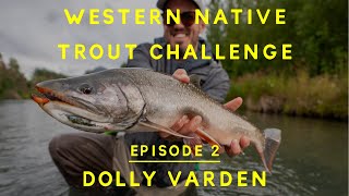 Dolly Varden in Alaska - Episode 2 of the Western Native Trout Challenge