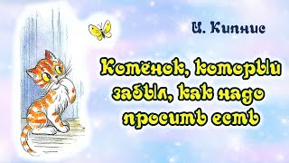 Котёнок, который забыл, как надо просить есть. И. Кипнис. Анимированная аудиосказка для детей.