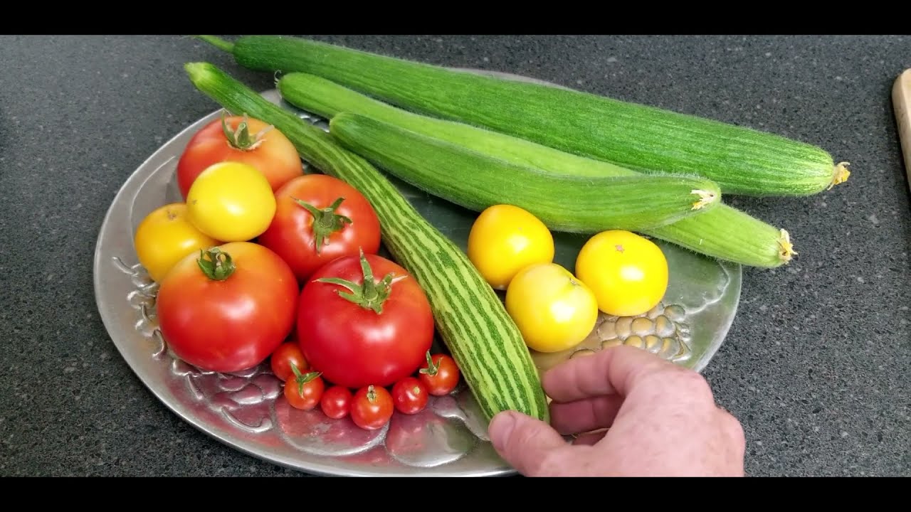 Dark Armenian Cucumber Texture