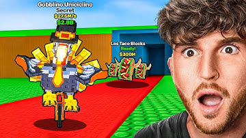 Taco Tuesday ADMIN ABUSE + New BRAINROT!