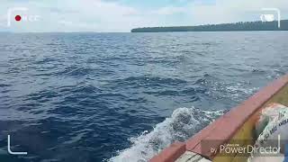 Pulau siumat aceh simelue