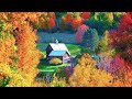 Beautiful Relaxing Music - Stop Overthinking, Stress Relief Music, Sleep Music, Calming Music #19