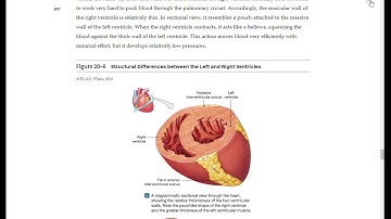 Mastering A&P Walk-through