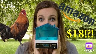 Testing the Cheapest Egg Incubator on Amazon | $18 Incubator Hatching Rare Eggs