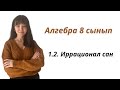 Алгебра 8 сынып: 1.2. Иррационал сан ұғымы