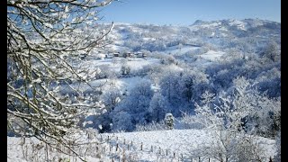 ASTURIAS NEVADA.