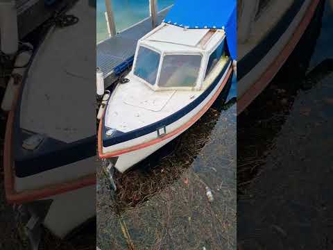 قضيت ليلة داخل قارب مهجور فوق بحيرة سويسرية