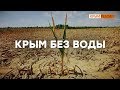 Как Крым живет без днепровской воды