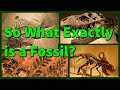 What is a Fossil? | An Oversimplified Explanation | Prehistory in the Dark