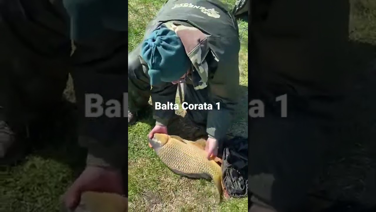 Pescuit la crap pe Balta Corata 1