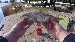 Гидропарк !!! Рыбалка в Киеве. Размер Плотвы ХХL