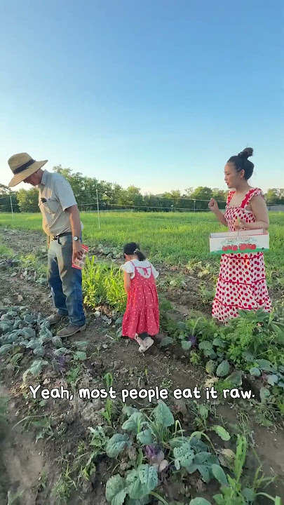 Japanese Mom Meets American Local Farmer, Learning New Vegetable 🚌💞
