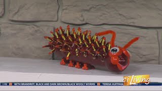 Judy Fraser's 2018-2019 Wooly Worm Forecast