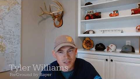 Why Choose the Bayer Carbon Program?