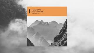 Feverlane - Not Forever (Dapayk Remix)