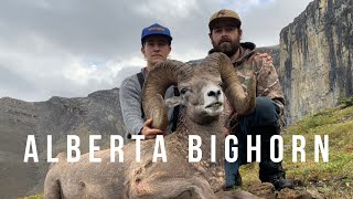 Alberta Bighorn Sheep Hunt
