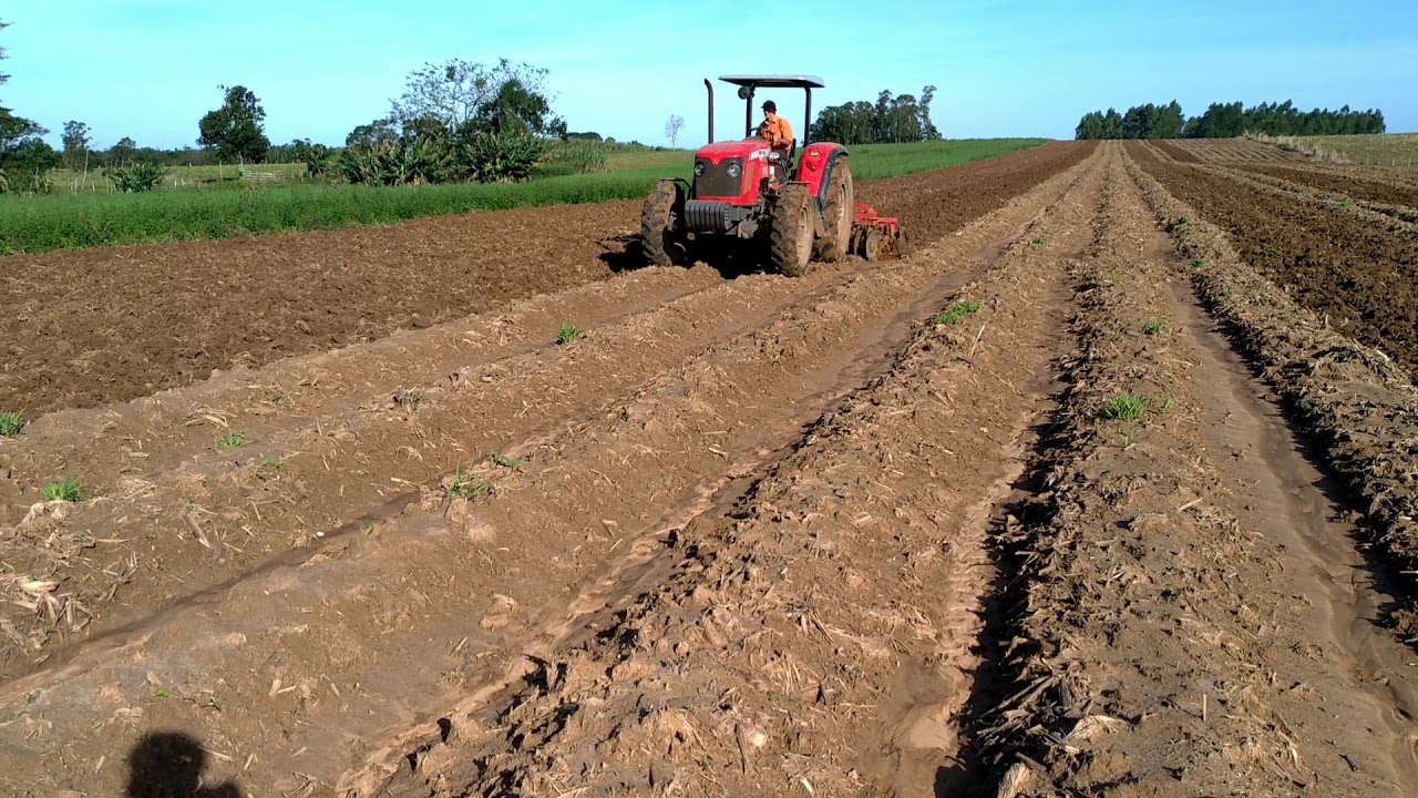 Massey 4275 Grade hidráulica de regulagem 28 discos de 20 (3)