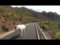 Gran Canaria - Roadbike Summit tour