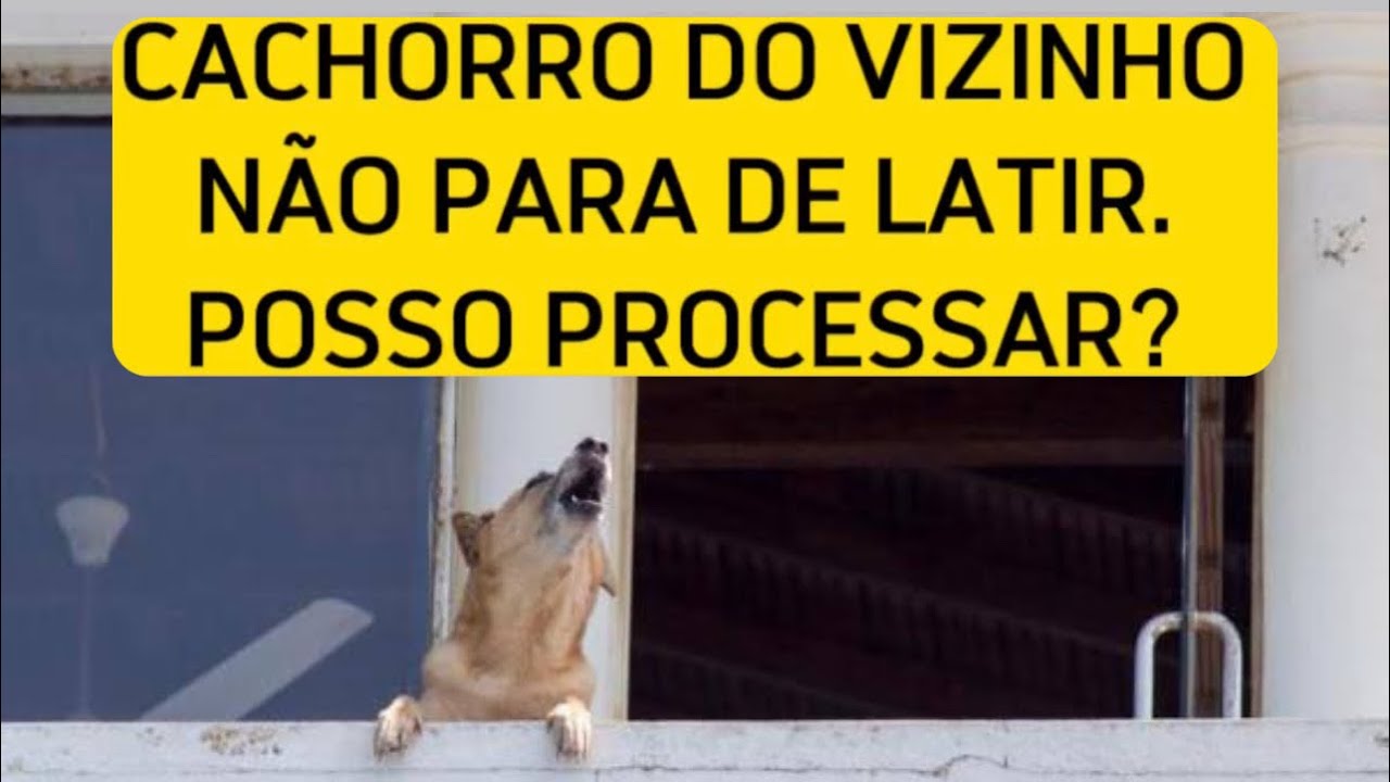 CACHORRO DO VIZINHO NÃO PARA DE LATIR. POSSO PROCESSAR? - YouTube